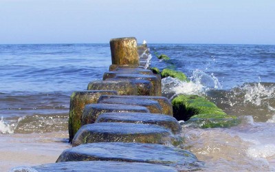 Angebote bis Weihnachten und zu Weihnachten und Silvester 2016