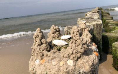 Last Minute Koserow Usedom ab 28.07.2018