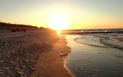 Last Minute Usedom Koserow - 3