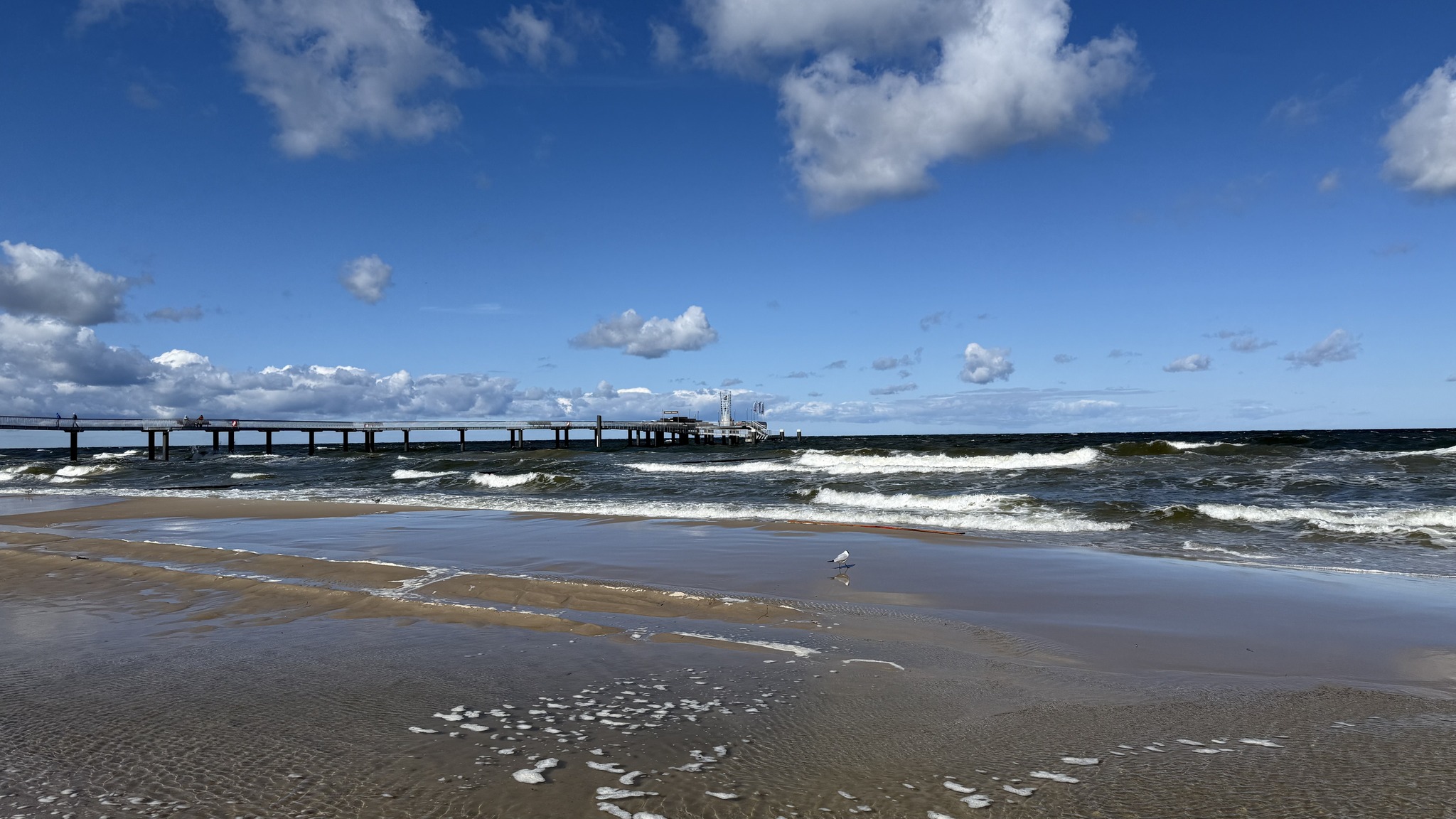 Koserow Usedom Last Minute Hotel Ferienpension Elisabeth