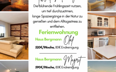 Spezialangebote für das Frühjahr 2026