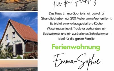 Spezialangebot Frühling 2026